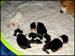 Boys 5 Days Old